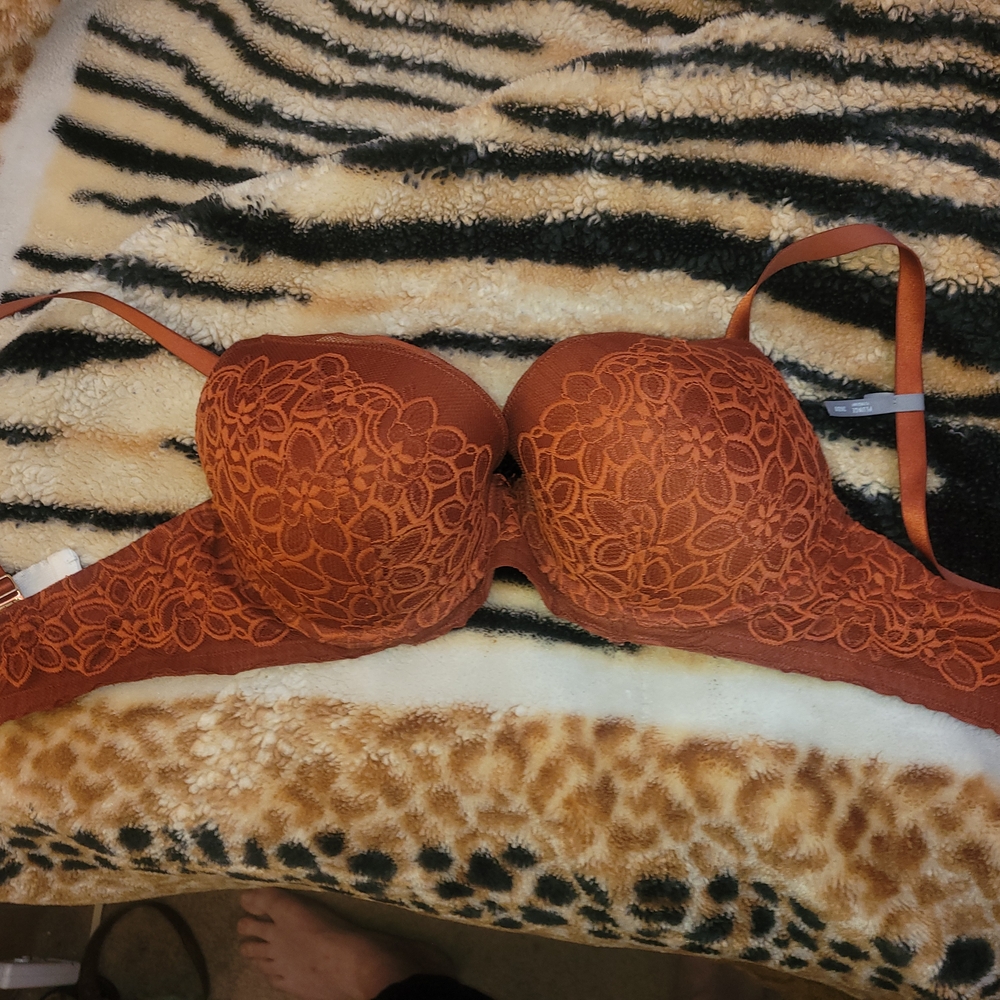 Elegant Lace Underwire Bra in Rust